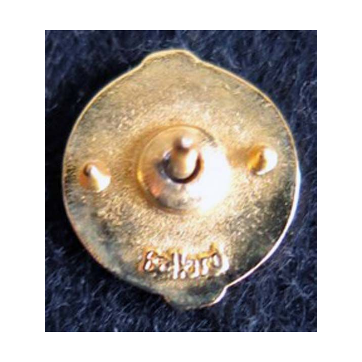 PIN'S MILITAIRE : pin's de la France libre 12X13 mm