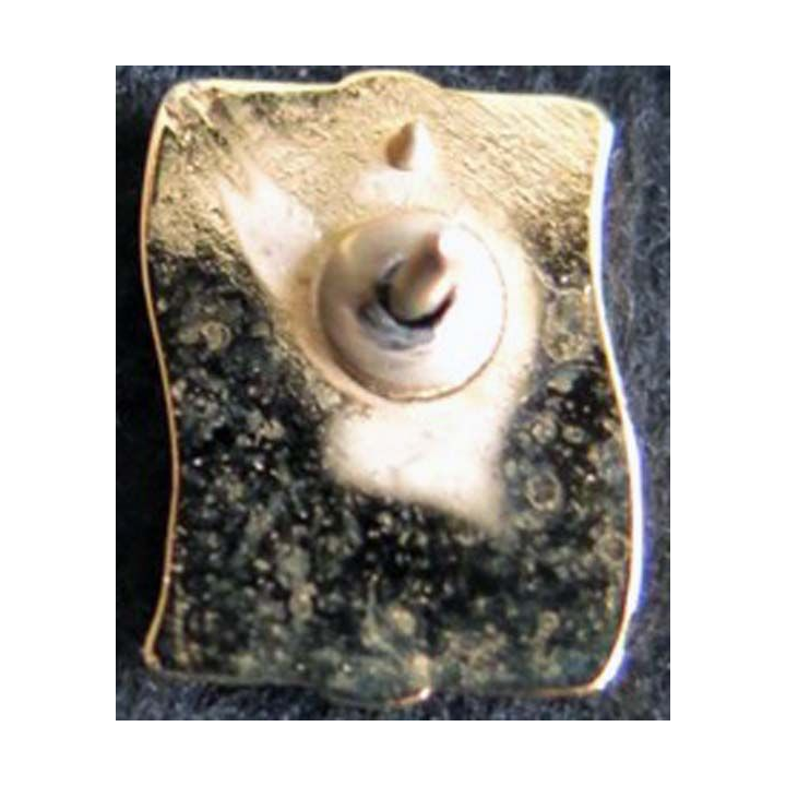 pin's de la France libre 12X16 mm