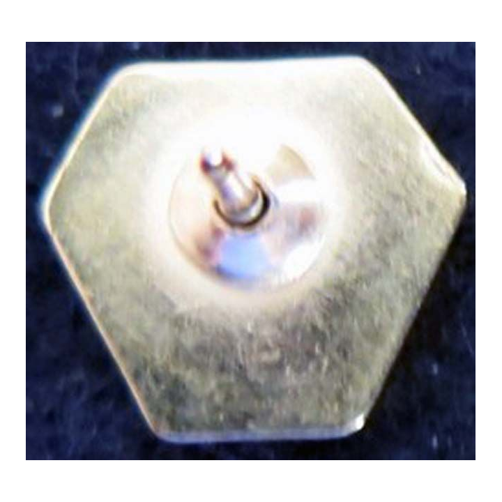 pin's du corps expéditionnaire français en italie 12X11 mm