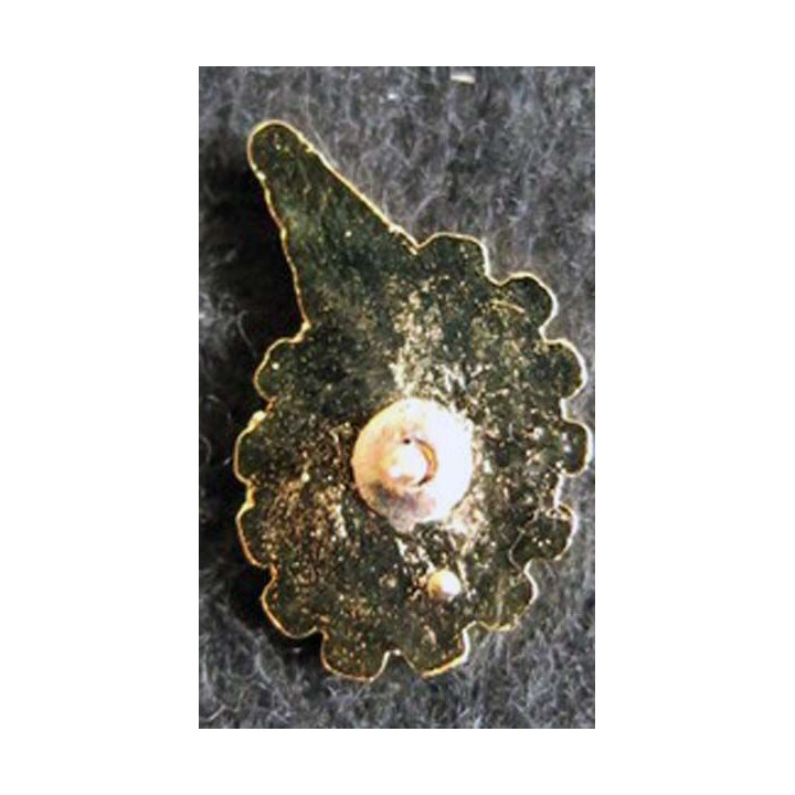 pin's de l' école d’enseignement technique de l’armée de l'Air