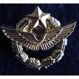 pin's brevet pilote de l'armée de l'Air Ballard Collection 