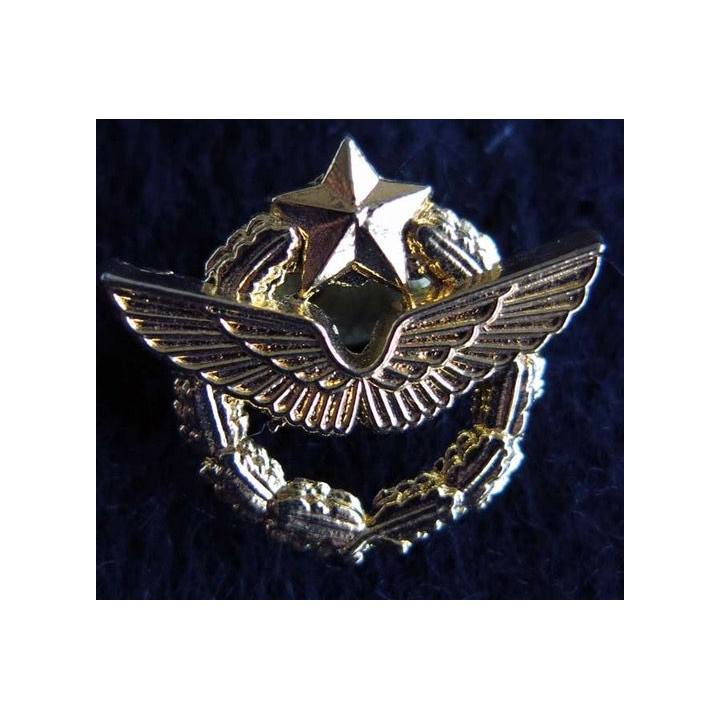 pin's brevet pilote de l'armée de l'Air Ballard Collection 