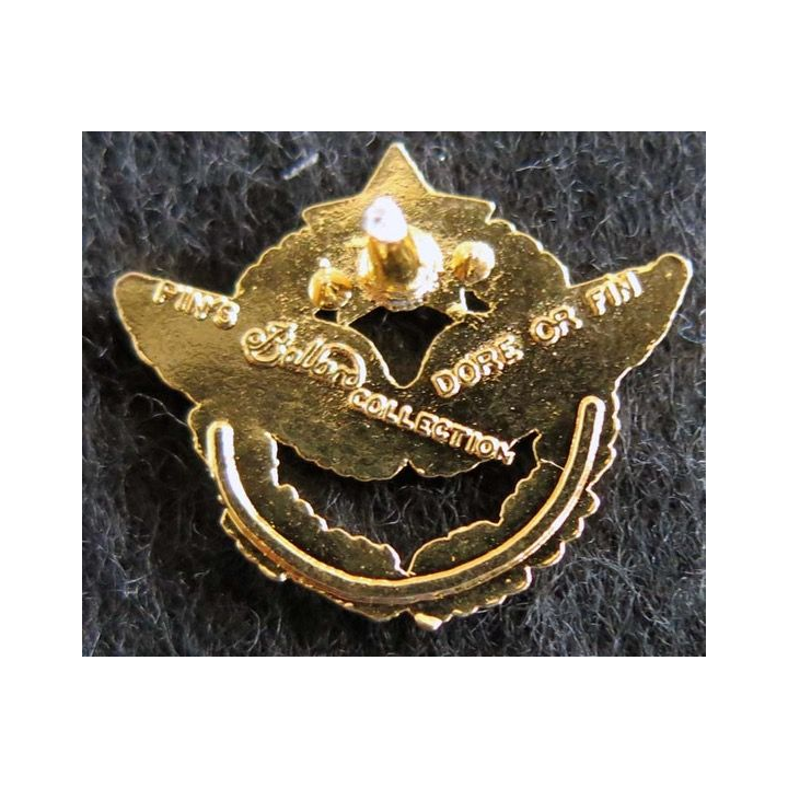 pin's brevet pilote de l'armée de l'Air Ballard Collection 