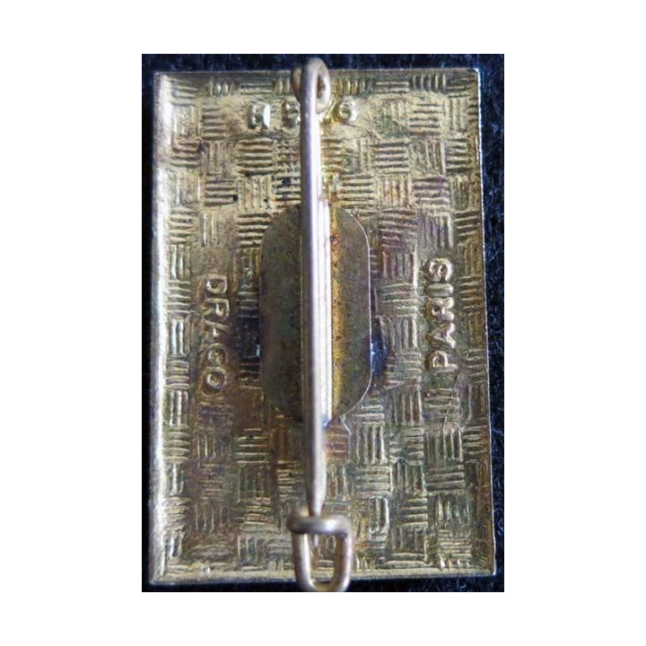 38° régiment de transmissions Drago H.576 