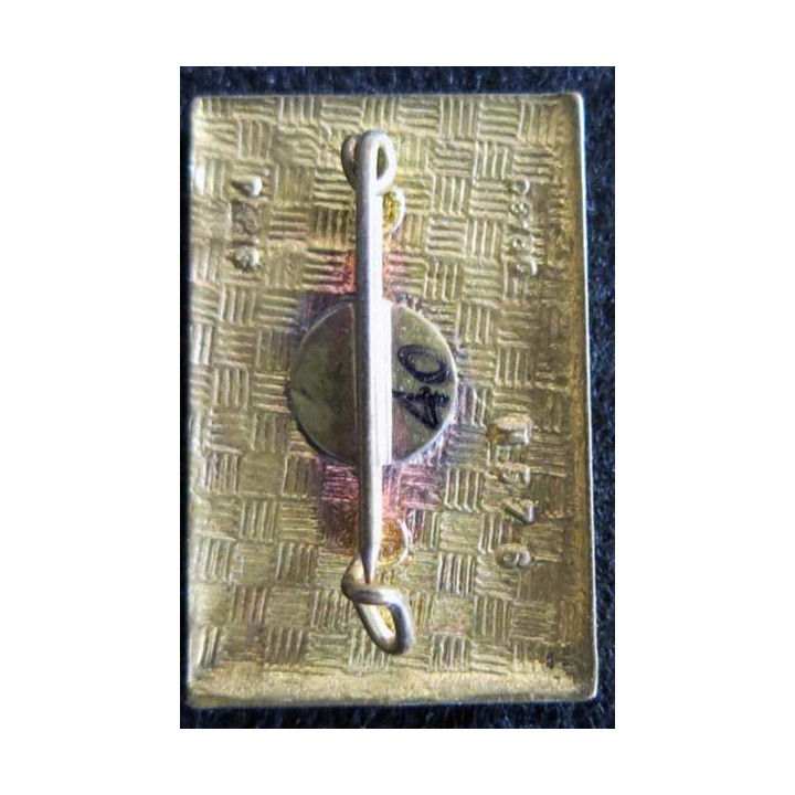 38° régiment de transmissions Drago H.576 en émail 