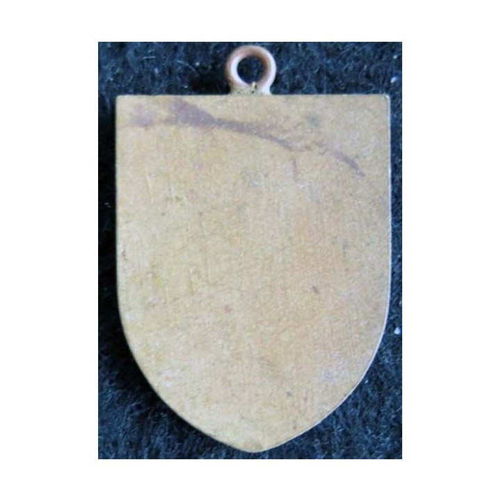 blason en émail de la ville d'Avignon 23X34 mm avec anneau 