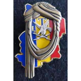 détachement HF de transmissions EPERVIER 1978-1998 JMM insignes 