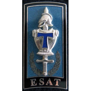 Insigne de l'école supérieure et d'application des transmissions