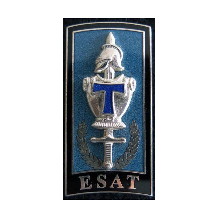 Insigne de l'école supérieure et d'application des transmissions