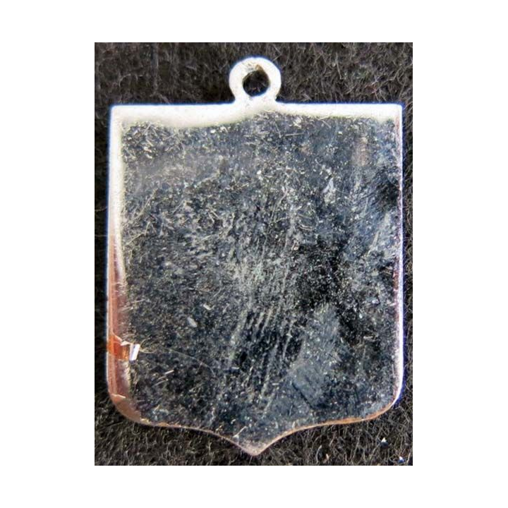 ancien blason en émail de la ville de Lourdes 22 x 30 mm
