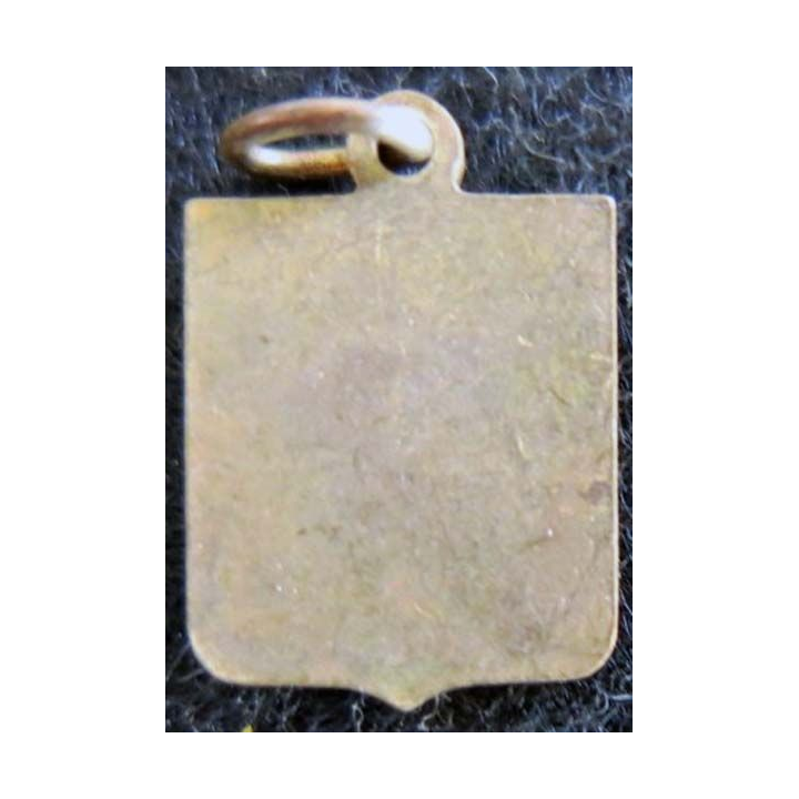 blason en émail de la ville de Nîmes 12 x 16 mm