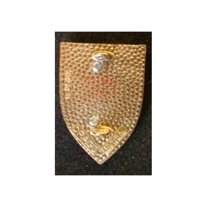 5°REGIMENT DE CHASSEURS