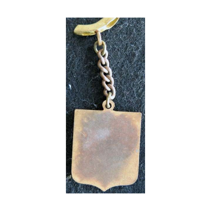 Blason en émail de la ville de Fouras 22 x 30 mm cuivré