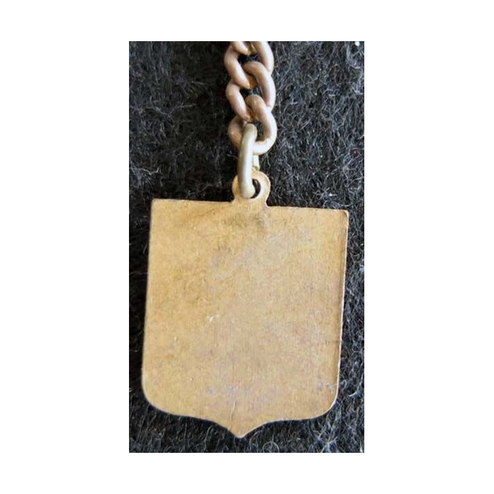 Blason en émail de la ville de Fouras 14 x 20 mm cuivré