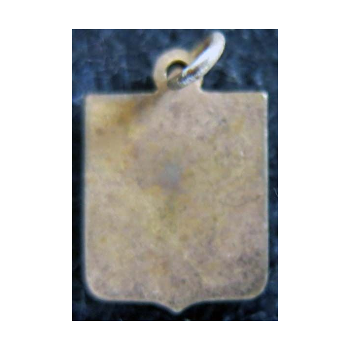 lason en émail des USA 11 x 16 mm anneau maillon