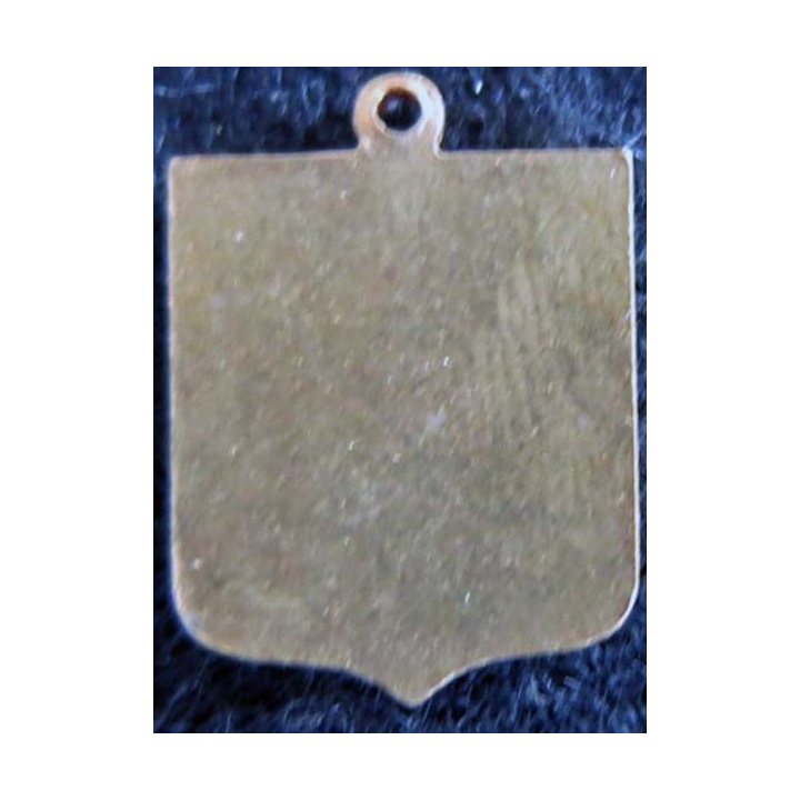 blason émail châteaux de la Loire 23 x 31 mm doré