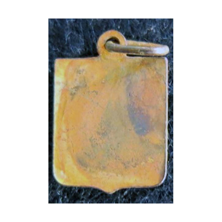 blason en émail de la FRANCE 11 x 16 mm anneau maillon défaut d'émail
