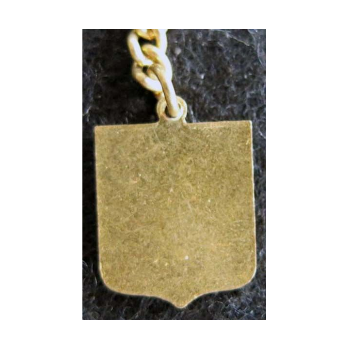 blason émail châteaux de la Loire 14 x 19 mm doré chainette