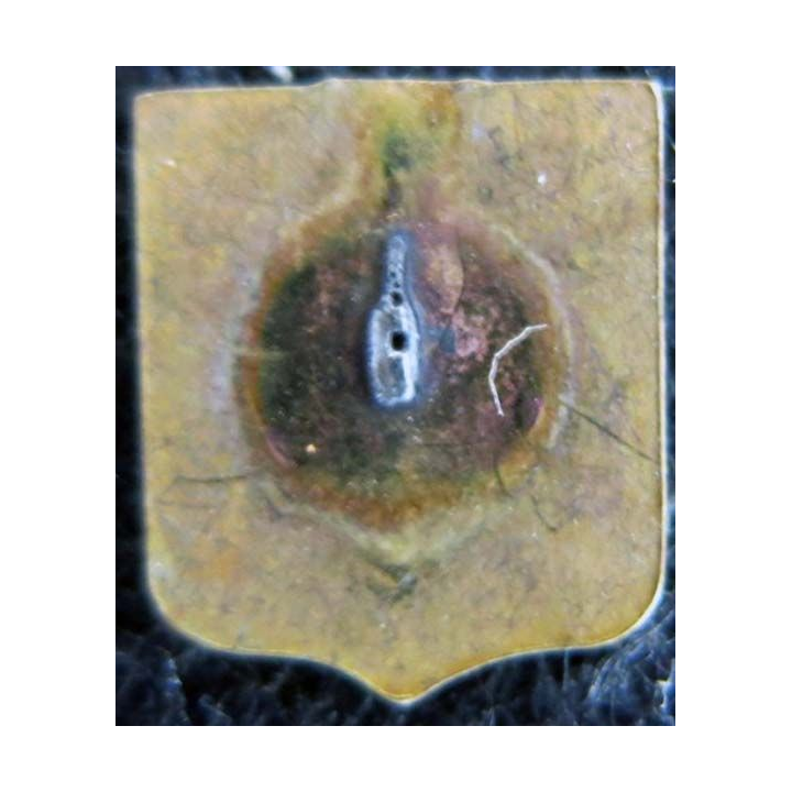 Blason en émail de la Touraine 11 x 14 mm doré