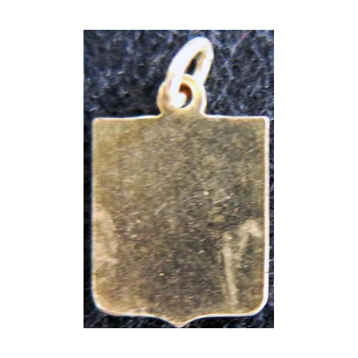 Blason en émail de la côte de sable 16 x 11 mm avec maillon