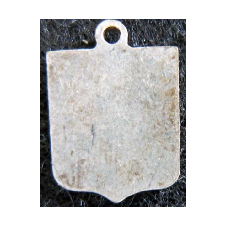 Blason en émail de la Touraine 11 x 16 mm argenté anneau