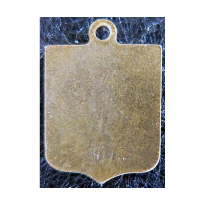 blason émail châteaux de la Loire 11 x 16 mm doré