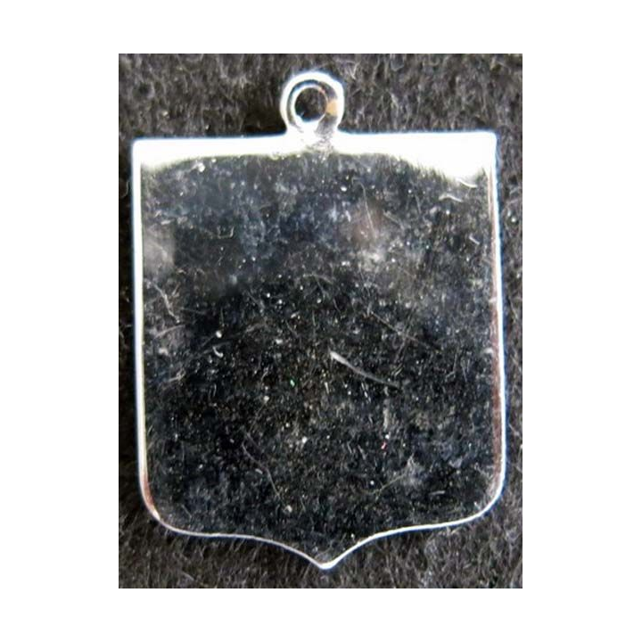 Blason en émail de l'Auvergne 22 x 30 mm argenté