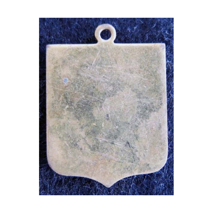 Blason en émail de l'Auvergne 22 x 30 mm doré