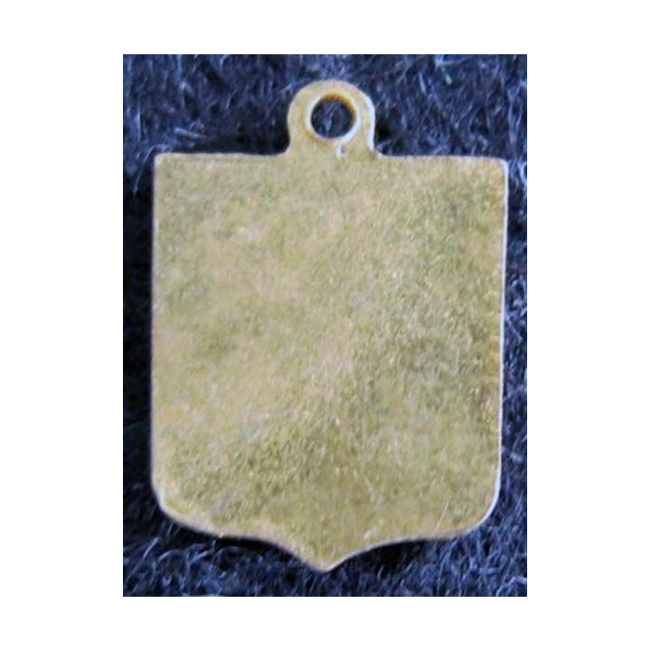 Blason en émail de l'Auvergne 11 x 16 mm doré