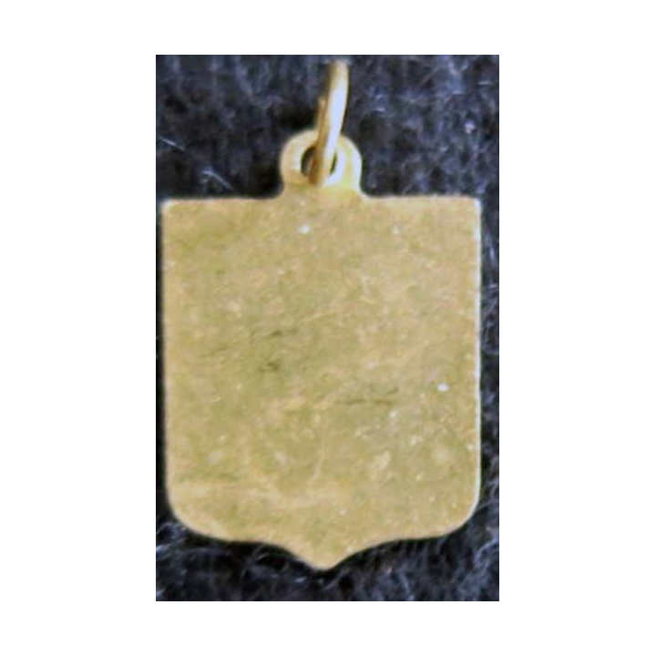 Blason en émail de l'Auvergne 11 x 16 mm doré maillon