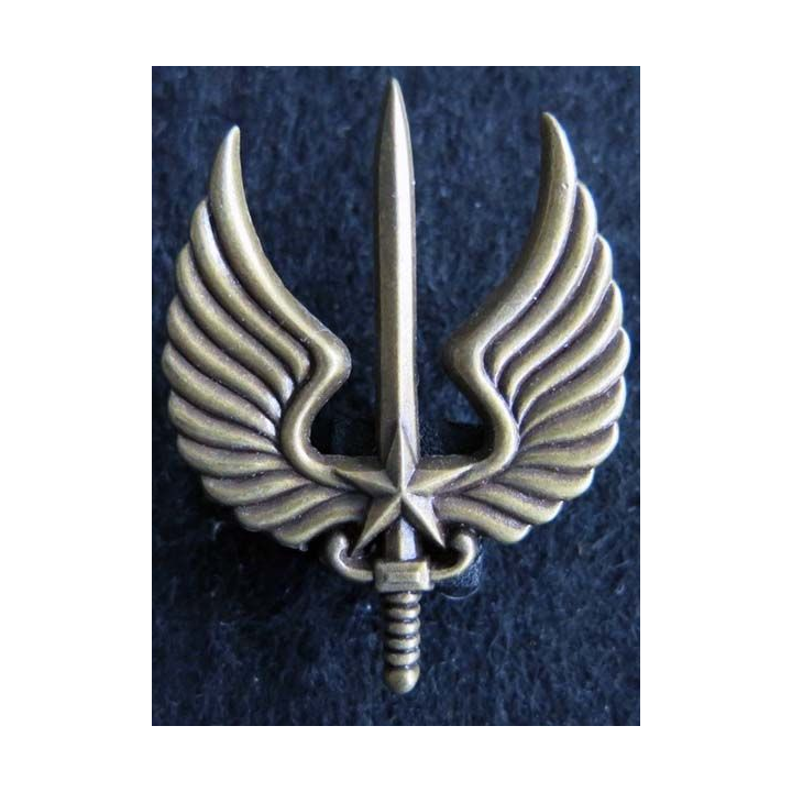  Brevet  d’Aéromobilité du 1° régiment d'infanterie  Boussemart