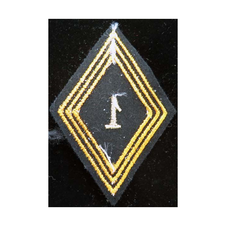 LOSANGE DE BRAS MODÈLE 45 : losange de bras du 1° régiment de chasseurs parachutistes cadre