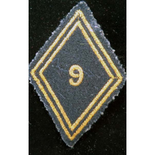 LOSANGE DE BRAS MODÈLE 45 : losange de bras du 9° RCP régiment de chasseurs parachutistes cadre