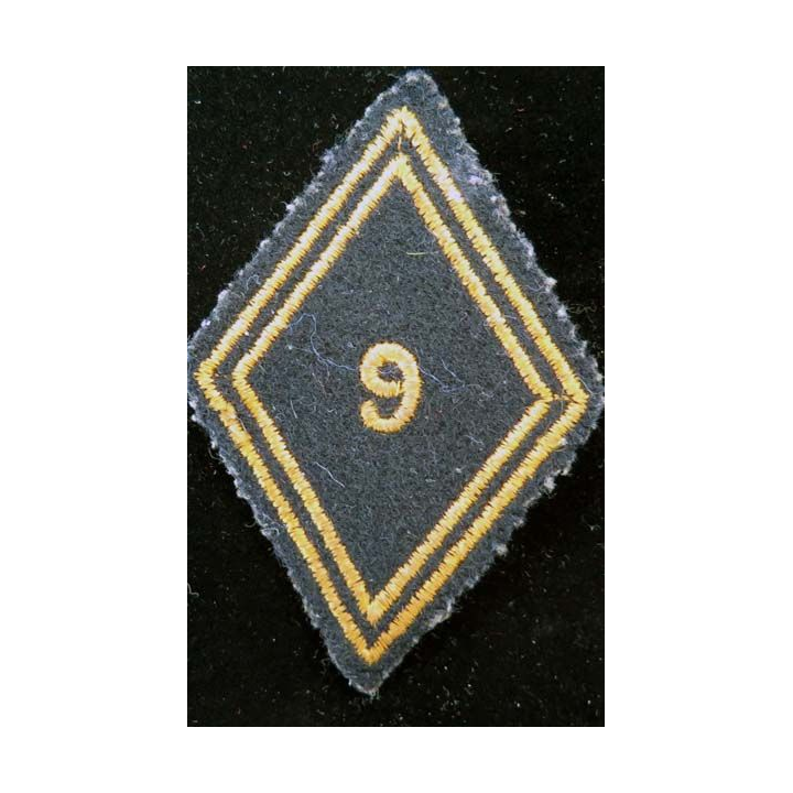 LOSANGE DE BRAS MODÈLE 45 : losange de bras du 9° RCP régiment de chasseurs parachutistes cadre