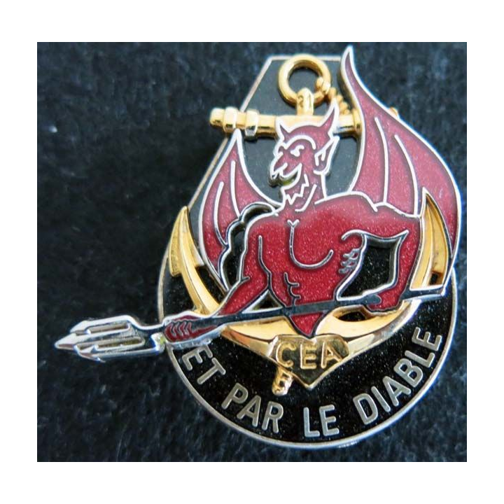 21° RIMA : insigne métallique de la compagnie d'éclairage et d'appui du 21° régiment d'infanterie de marine Boussemart