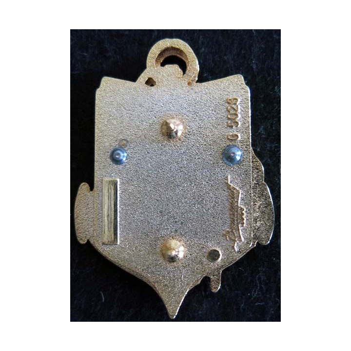 RSMA : insigne métallique du régiment de service militaire adapté de Guyane de fabrication Boussemart 2008 G. 5026