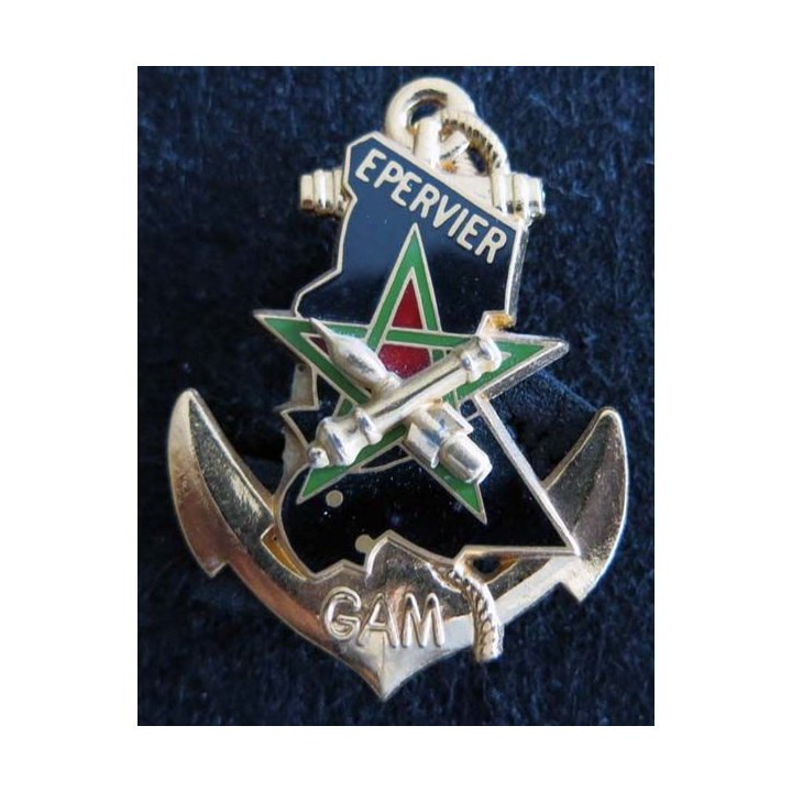 RICM : insigne métallique du 2° escadron du régiment d'infanterie chars de marine GAM Epervier de fabrication Balme