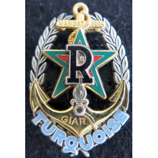 RICM 1° REC :  insigne régiment d'infanterie et chars de marine et 1° REC opération Turquoise Drago
