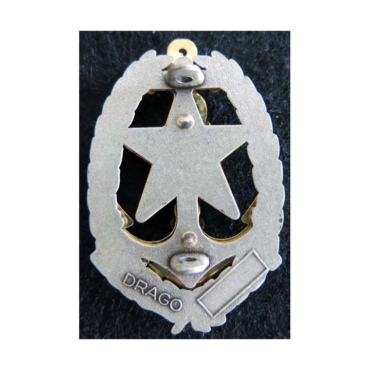 RICM 1° REC :  insigne régiment d'infanterie et chars de marine et 1° REC opération Turquoise Drago