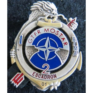 1° RIMA : insigne du 2° escadron du 1° régiment d'infanterie de marine BATINF 6 Pichard Balme Saumur