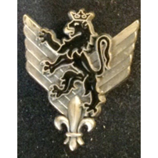 6° RHC : insigne du 6° régiment d'hélicoptères de combat de fabrication Delsart G. 1904