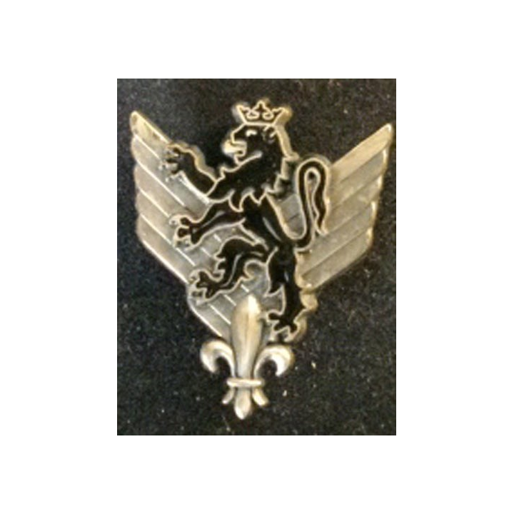 6° RHC : insigne du 6° régiment d'hélicoptères de combat de fabrication Delsart G. 1904