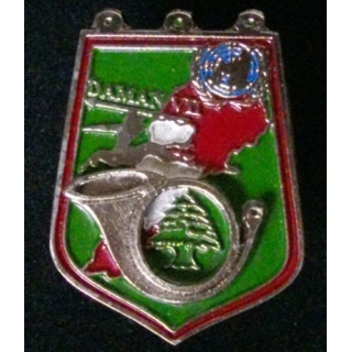 3° escadrton du 2° chasseurs opération Daman VII° mandat Liban RCH