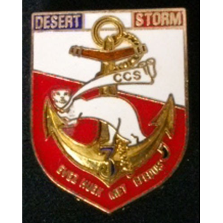 3° RIMA : 3°RÉGIMENT D'INFANTERIE DE MARINE CCS DESERT STORM