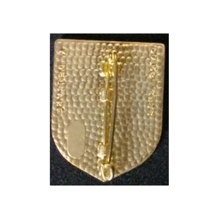 3° RIMA : 3°RÉGIMENT D'INFANTERIE DE MARINE CCS DESERT STORM