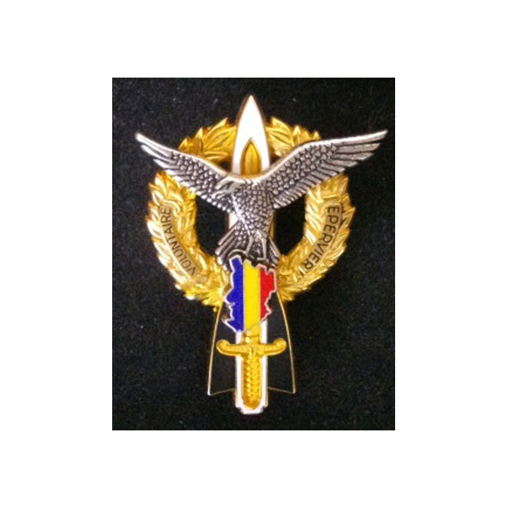 402° ET 403°RÉGIMENT D'ARTILLERIE ANTIAÉRIENNE ÉPERVIER