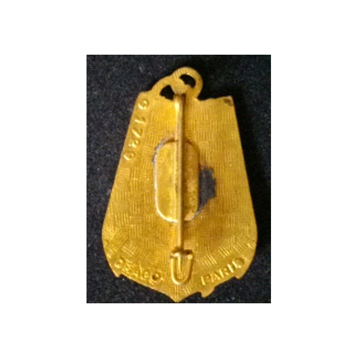 43° RIMA : 43° RÉGIMENT D'INFANTERIE DE MARINE (9 PALMES)