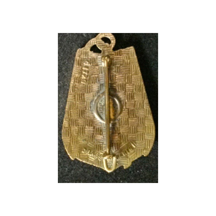 43° RIMA : 43° RÉGIMENT D'INFANTERIE DE MARINE (9 PALMES)
