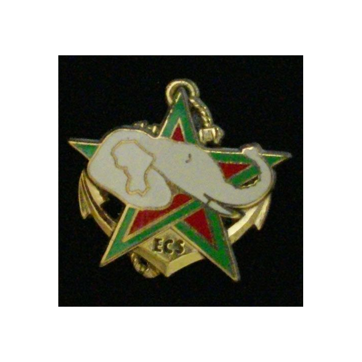 RICM : RÉGIMENT D'INFANTERIE CHARS DE MARINE ECS TYPE 1