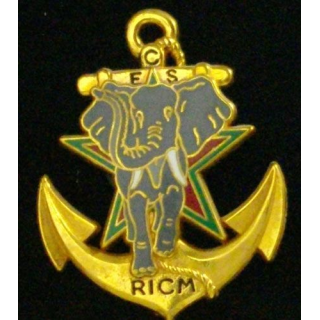 RICM : RÉGIMENT D'INFANTERIE CHARS DE MARINE ECS TYPE 2